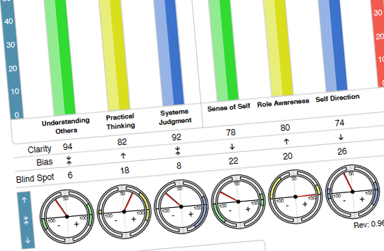 Acumen Capacity Index