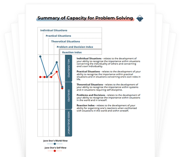 Acumen Capacity Index Profile - TTI Success Insights®