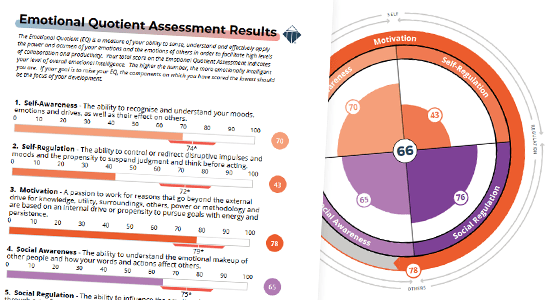 Emotional Quotient